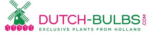 Dutch-bulbs.com - Exklusiva blomsterlökar och växter från Holland- Logotyp - omdömen