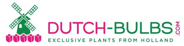 Dutch-bulbs.com - Lâmpadas e Plantas Exclusivas de Florais da Holanda- Logo - Avaliações